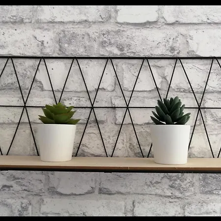 Apartment T2 Bck And Wood 